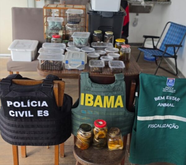 Operação conjunta resgata mais de 70 animais silvestres em situação irregular em Vila Velha