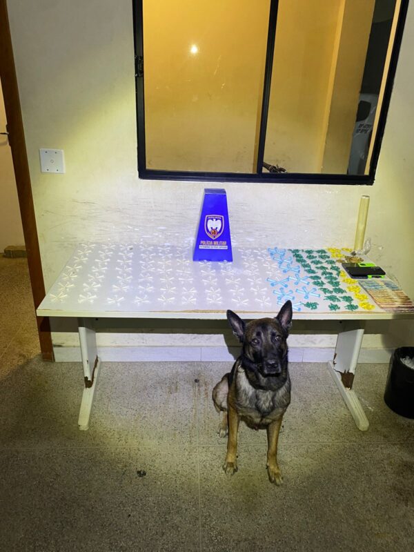 Polícia Militar apreende grande quantidade de drogas e cumpre mandados em Guarapari