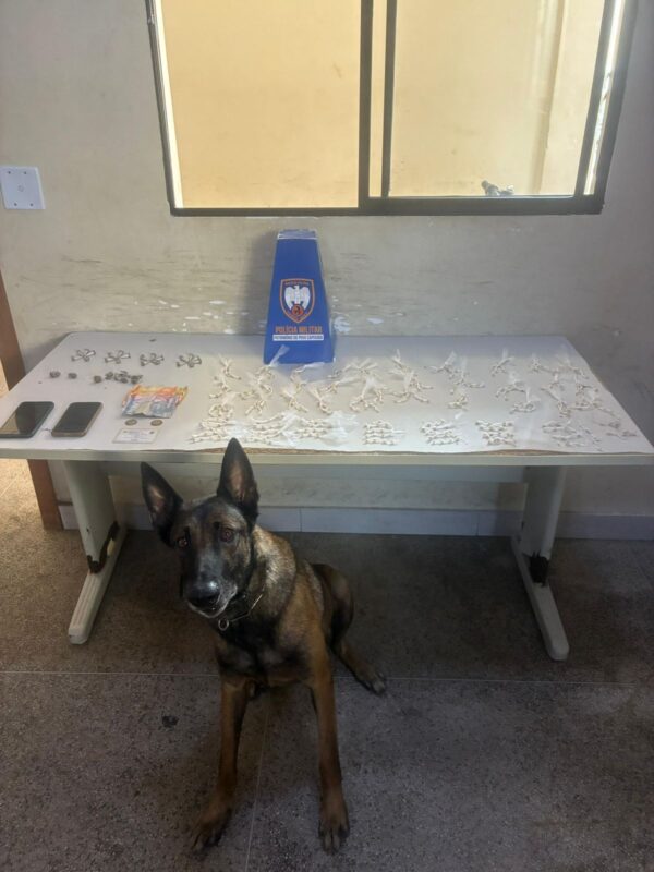 Polícia Militar apreende grande quantidade de drogas, recupera motocicleta e cumpre mandado de prisão em Guarapari