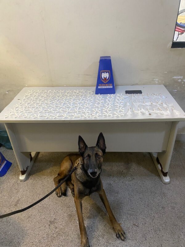 Polícia Militar registra prisões por tráfico, recupera veículo e cumpre mandado em Guarapari