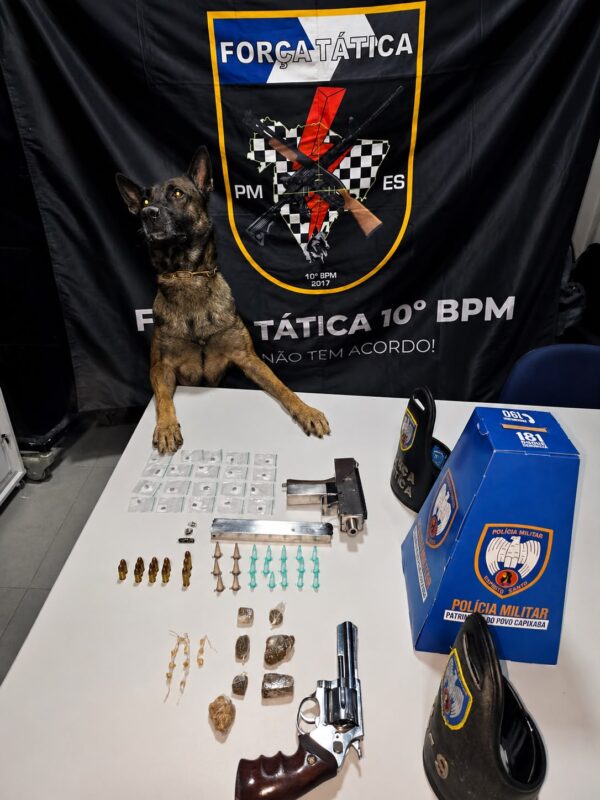 Polícia Militar apreende armas, drogas, recupera veículo e cumpre mandados de prisão em Guarapari