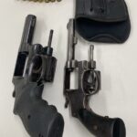 PCES prende mulher por maus-tratos a animais e apreende armas de fogo durante operação em Guarapari