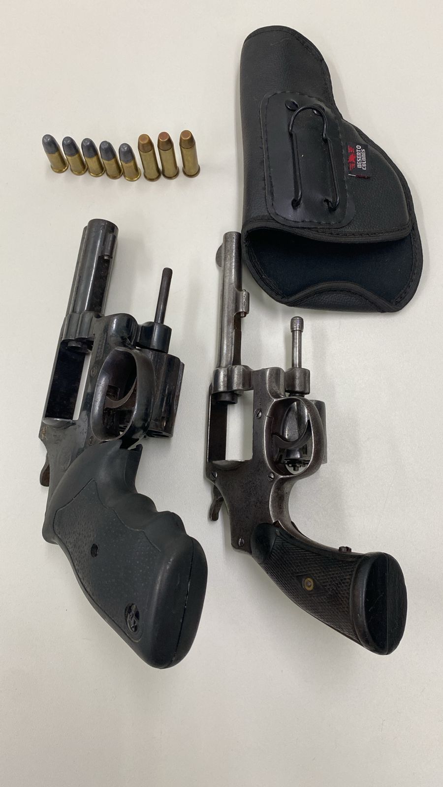 PCES prende mulher por maus-tratos a animais e apreende armas de fogo durante operação em Guarapari